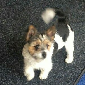 Meet your Posher, Sherrilyn